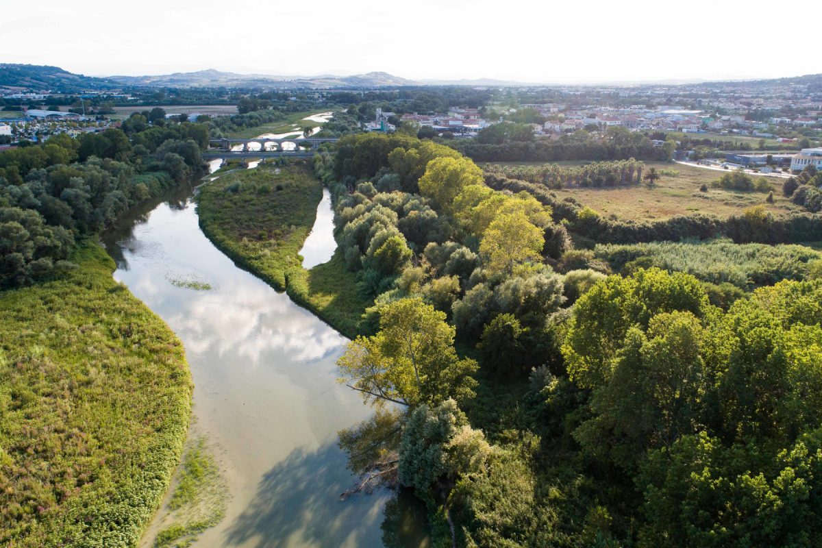Riserva Naturale Foce Del Chienti